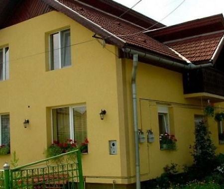 Pensiunea Bio Coltău Eksteriør bilde